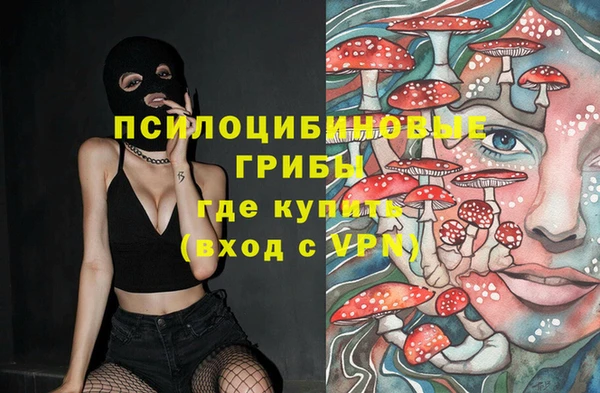 бошки Ростов