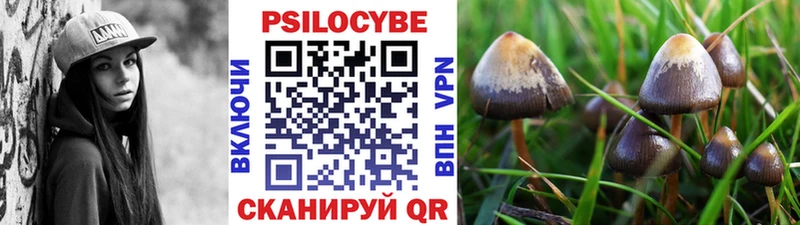 Галлюциногенные грибы мухоморы  Купить где  Черепаново 